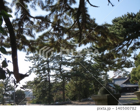 2014年・香川・観音寺・八幡・風景・琴引公園・其の百七 140500782