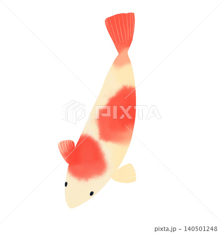 錦鯉の水彩風イラスト 優雅に泳ぐ紅白のコイの可愛い手描き素材 錦鯉の水彩風イラスト 優雅に泳ぐ紅白のコイの可愛い手描き素材 140501248