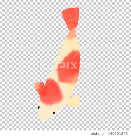 錦鯉の水彩風イラスト 優雅に泳ぐ紅白のコイの可愛い手描き素材 錦鯉の水彩風イラスト 優雅に泳ぐ紅白のコイの可愛い手描き素材 140501248