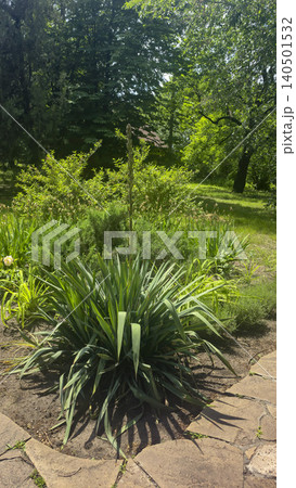 Landscape design of a park area. Swings, plants, stone paths Landscape design of a park area. Swings, plants, stone paths 140501532