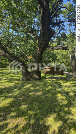 Landscape design of a park area. Swings, plants, stone paths Landscape design of a park area. Swings, plants, stone paths 140501539