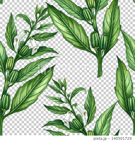 Seamless pattern with green sesame stalks with leaves, pods, and flowers. Hand-drawn watercolor illustration. For kitchen decor, textiles, wallpaper, product labels, wrapping paper, menus, and more. Seamless pattern with green sesame stalks with leaves, pods, and flowers. Hand-drawn watercolor illustration. For kitchen decor, textiles, wallpaper, product labels, wrapping paper, menus, and more. 140501729