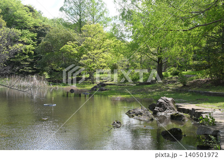 池のほとり　泉谷公園　千葉市緑区 140501972