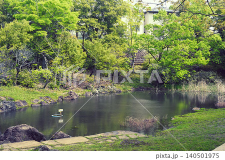 池のほとり 泉谷公園 千葉市緑区 池のほとり 泉谷公園 千葉市緑区 140501975