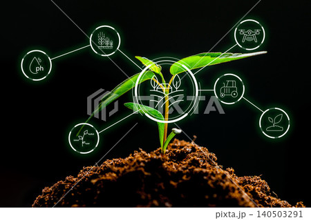 Smart farm technology shows plant growth and data connections in a dark setting Smart farm technology shows plant growth and data connections in a dark setting 140503291