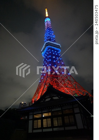 夜空に輝く青色の東京タワーと心光院　6月港区2482サムライブルーの東京タワーと心光院 140503475