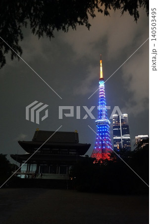 青くライトアップされた東京タワーと増上寺　6月港区2502サムライブルーの東京タワーと増上寺 140503495
