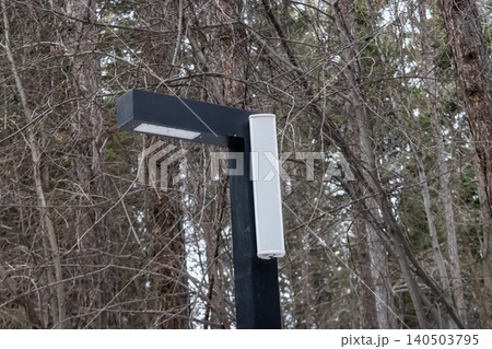 A Modern Streetlight Illuminating the Pathway Amongst Dense Pine Trees in a Serene Forest Environment 140503795