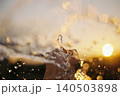 水 140503898