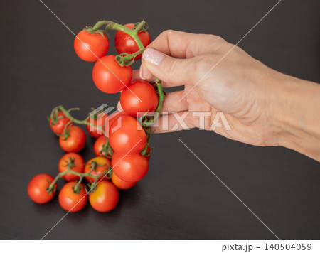 Hand holding vine cherry tomatoes on dark background for cooking and fresh produce selection Hand holding vine cherry tomatoes on dark background for cooking and fresh produce selection 140504059