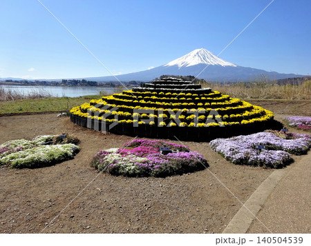 山梨県南都留郡富士河口湖町の大石公園で富士山の形をした花壇と富士山 140504539
