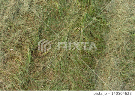 Tall overgrown green grass on the lawn in the backyard garden. Need for mowing, garden maintenance concept Tall overgrown green grass on the lawn in the backyard garden. Need for mowing, garden maintenance concept 140504628