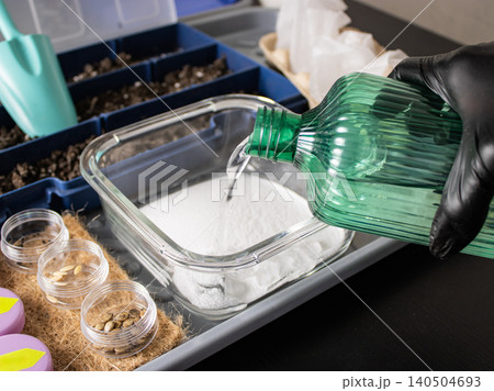 Gloved hand pouring liquid into white powder in glass container on indoor seed starting workbench Gloved hand pouring liquid into white powder in glass container on indoor seed starting workbench 140504693