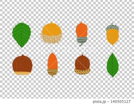 手描きのイラスト　ドングリ 140505127
