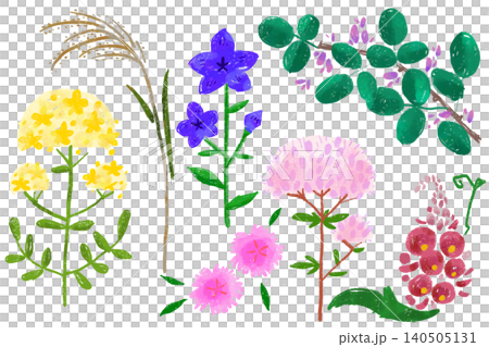 Hand-drawn illustration of flowers: The Seven Flowers of Autumn Hand-drawn illustration of flowers: The Seven Flowers of Autumn 140505131