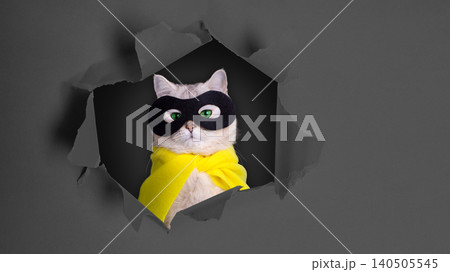 Adventurous Cat in Mask and Cape Peeking Through a Wall Tear with Playful Confidence 140505545