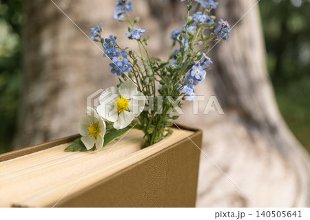 Wildflowers as bookmark in hardcover book in nature setting 140505641
