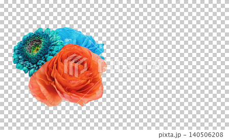 Blue gerbera and red ranunculus flowers, transparent background, macro material. Blue gerbera and red ranunculus flowers, transparent background, macro material. 140506208
