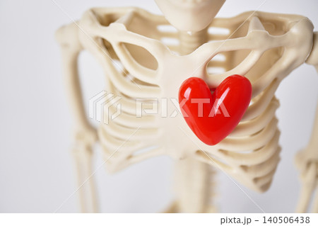 A Skeleton Holding a Bright Red Heart Symbolizing Love and Vitality in a Playful Context A Skeleton Holding a Bright Red Heart Symbolizing Love and Vitality in a Playful Context 140506438