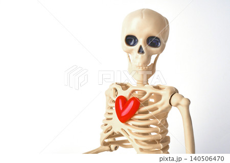 Creative Display of a Human Skeleton Holding a Red Heart Symbolizing Life and Vitality Creative Display of a Human Skeleton Holding a Red Heart Symbolizing Life and Vitality 140506470
