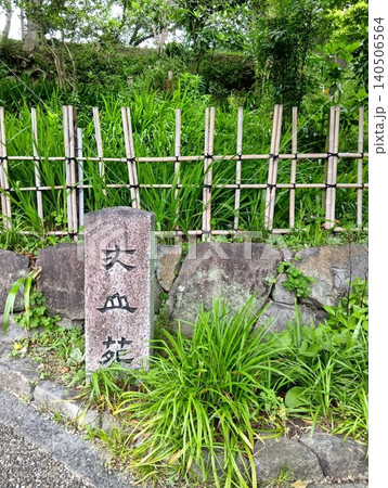 初夏の丈山苑 緑色の世界 詩泉閣 初夏の丈山苑 緑色の世界 詩泉閣 140506564