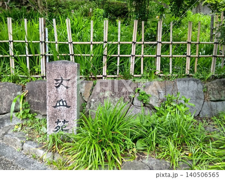 初夏の丈山苑 緑色の世界 詩泉閣 初夏の丈山苑 緑色の世界 詩泉閣 140506565