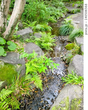 初夏の丈山苑　緑色の世界　詩泉閣 140506568