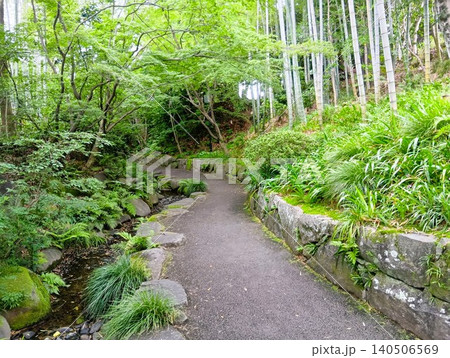 初夏の丈山苑 緑色の世界 詩泉閣 初夏の丈山苑 緑色の世界 詩泉閣 140506569