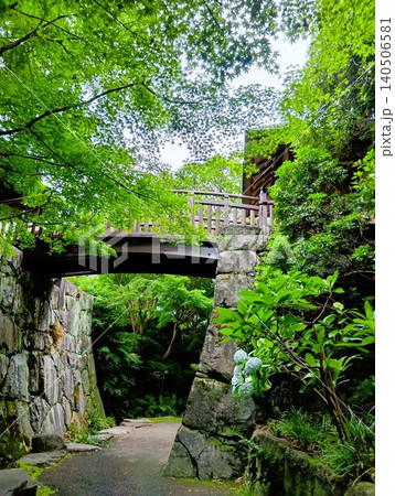 初夏の丈山苑 緑色の世界 詩泉閣 初夏の丈山苑 緑色の世界 詩泉閣 140506581