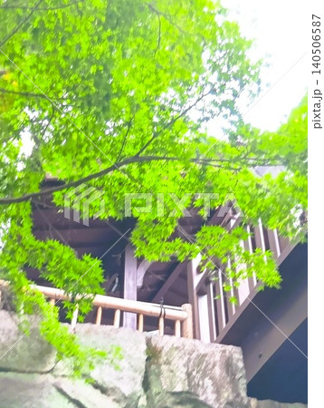 初夏の丈山苑 緑色の世界 詩泉閣 初夏の丈山苑 緑色の世界 詩泉閣 140506587