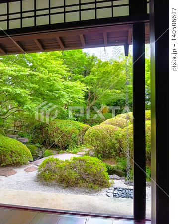 初夏の丈山苑　緑色の世界　詩泉閣 140506617