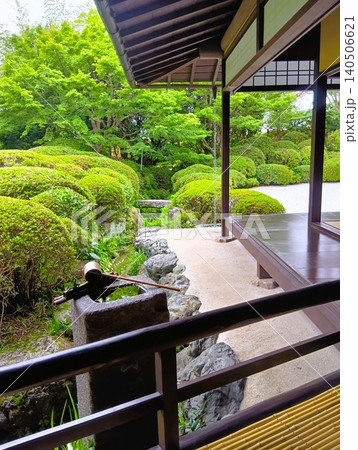 初夏の丈山苑 緑色の世界 詩泉閣 初夏の丈山苑 緑色の世界 詩泉閣 140506621