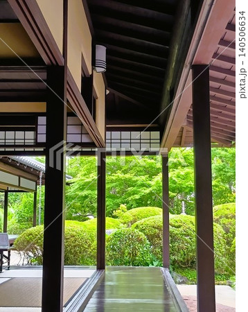 初夏の丈山苑 緑色の世界 詩泉閣 初夏の丈山苑 緑色の世界 詩泉閣 140506634