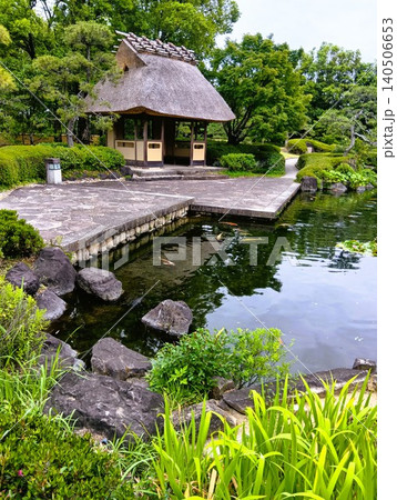 初夏の丈山苑　緑色の世界　詩泉閣 140506653