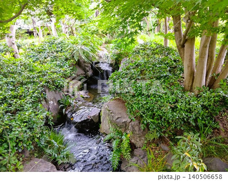 初夏の丈山苑　緑色の世界　詩泉閣 140506658