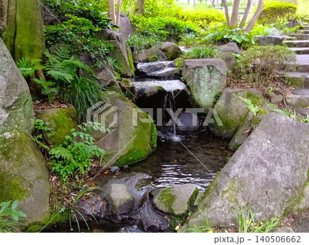 初夏の丈山苑 緑色の世界 詩泉閣 初夏の丈山苑 緑色の世界 詩泉閣 140506662