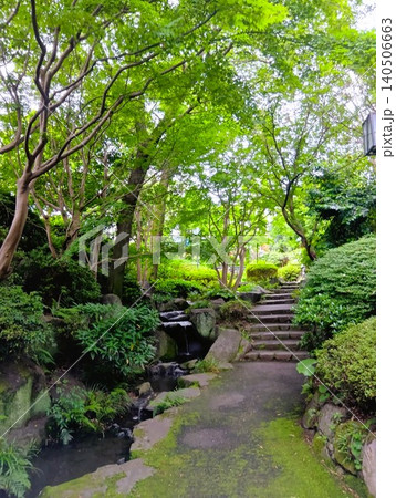初夏の丈山苑 緑色の世界 詩泉閣 初夏の丈山苑 緑色の世界 詩泉閣 140506663