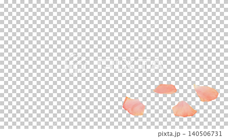 Ranunculus petal set, pink, transparent background, macro material, flower parts. Ranunculus petal set, pink, transparent background, macro material, flower parts. 140506731