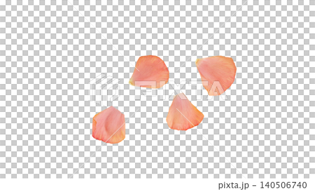 毛茛花瓣套裝，粉紅色，透明背景，微距素材，花朵部分。 140506740