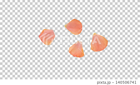 Ranunculus petal set, pink, transparent background, macro material, flower parts. Ranunculus petal set, pink, transparent background, macro material, flower parts. 140506741