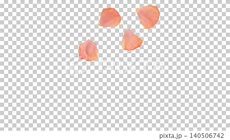 Ranunculus petal set, pink, transparent background, macro material, flower parts. Ranunculus petal set, pink, transparent background, macro material, flower parts. 140506742