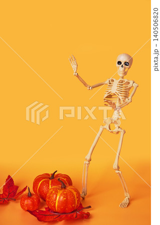 Playful Skeleton Enjoying Autumn Festivities with Pumpkins Against a Vibrant Orange Background Playful Skeleton Enjoying Autumn Festivities with Pumpkins Against a Vibrant Orange Background 140506820