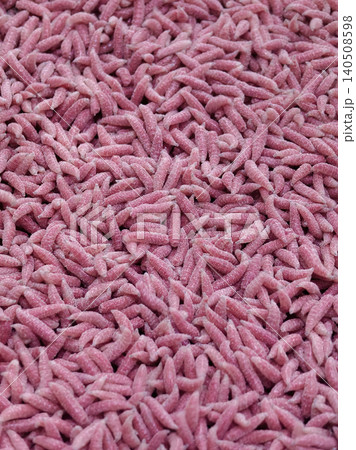 Fishing maggots in a large pile ready for fishing in a local area early in the morning 140508598