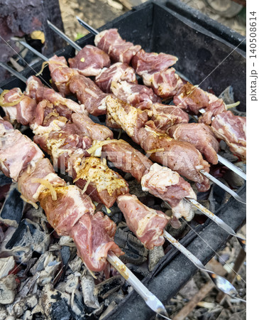 Grilling meat on skewers over charcoal at a barbecue gathering in the backyard during a sunny afternoon Grilling meat on skewers over charcoal at a barbecue gathering in the backyard during a sunny afternoon 140508614