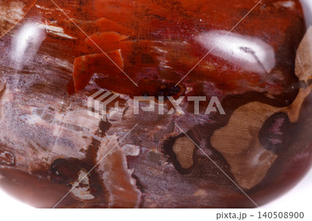 Macro mineral stone ground petrified tree on white background Macro mineral stone ground petrified tree on white background 140508900