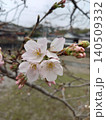 咲き始めた桜 140509332