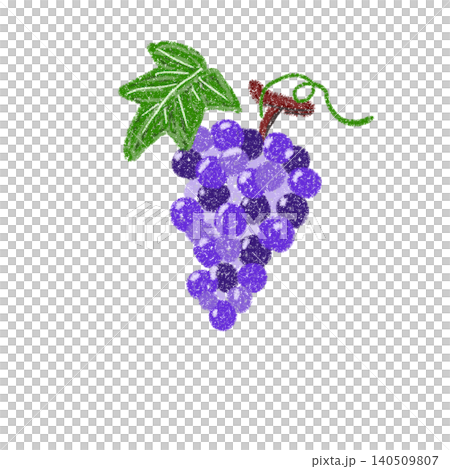 Grapes drawn with crayons Grapes drawn with crayons 140509807