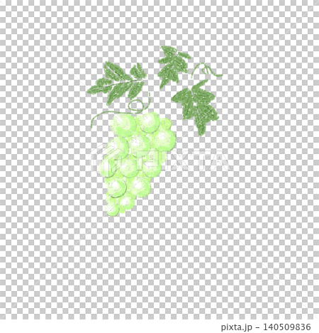 クレヨンで描いたマスカット クレヨンで描いたマスカット 140509836