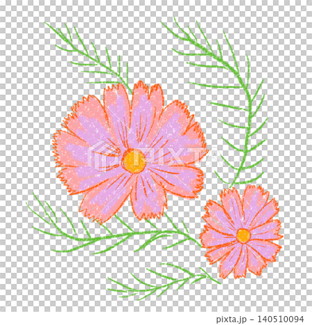用蠟筆畫的粉紅色波斯菊 用蠟筆畫的粉紅色波斯菊 140510094