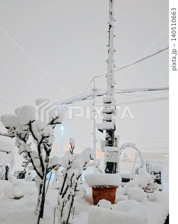 ​春の4月に降った記録的な大雪で電柱や木々にこんもりと積もったなごり雪の風景 140510663